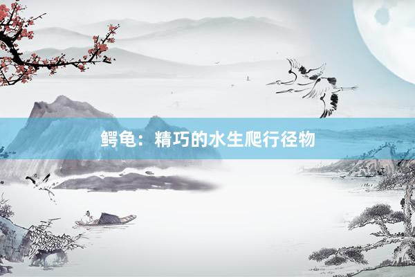 鳄龟：精巧的水生爬行径物