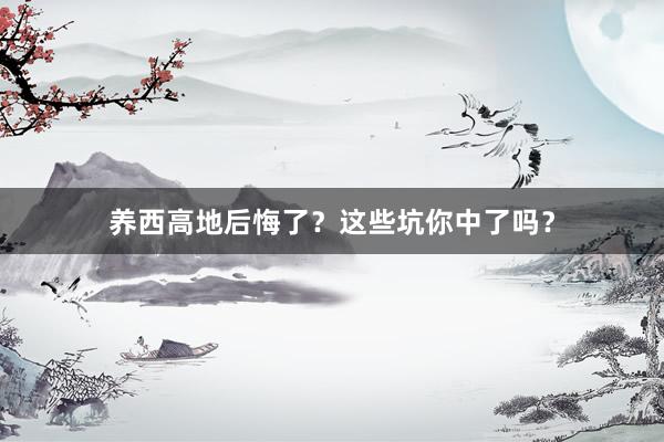 养西高地后悔了？这些坑你中了吗？